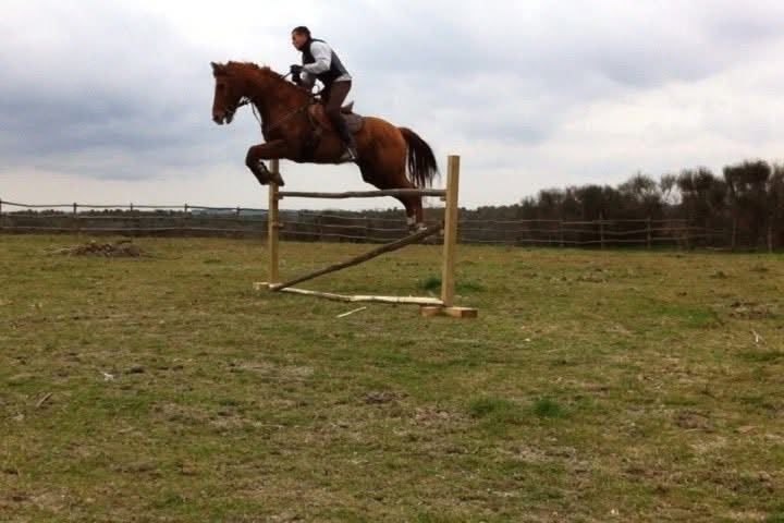 Roberto Giorgi a cavallo, in salto su un ostacolo di pali di legno, nel campo recintato dell'azienda